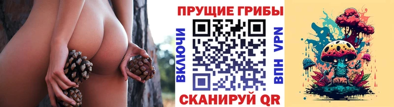 Псилоцибиновые грибы Psilocybine cubensis  Грайворон 